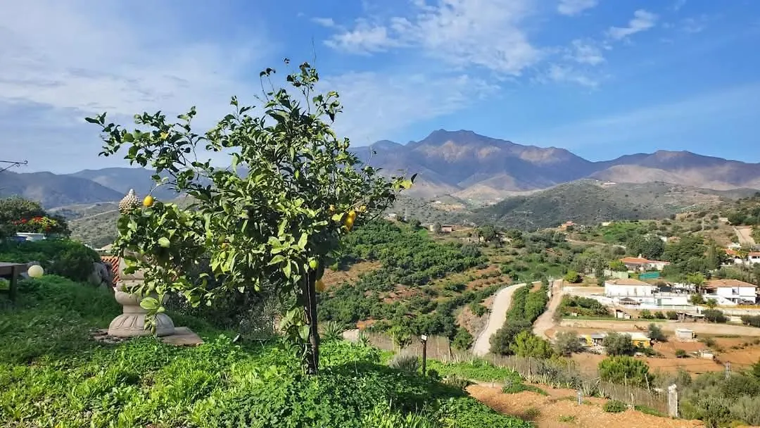 Finca Cornelia マラガ スペイン