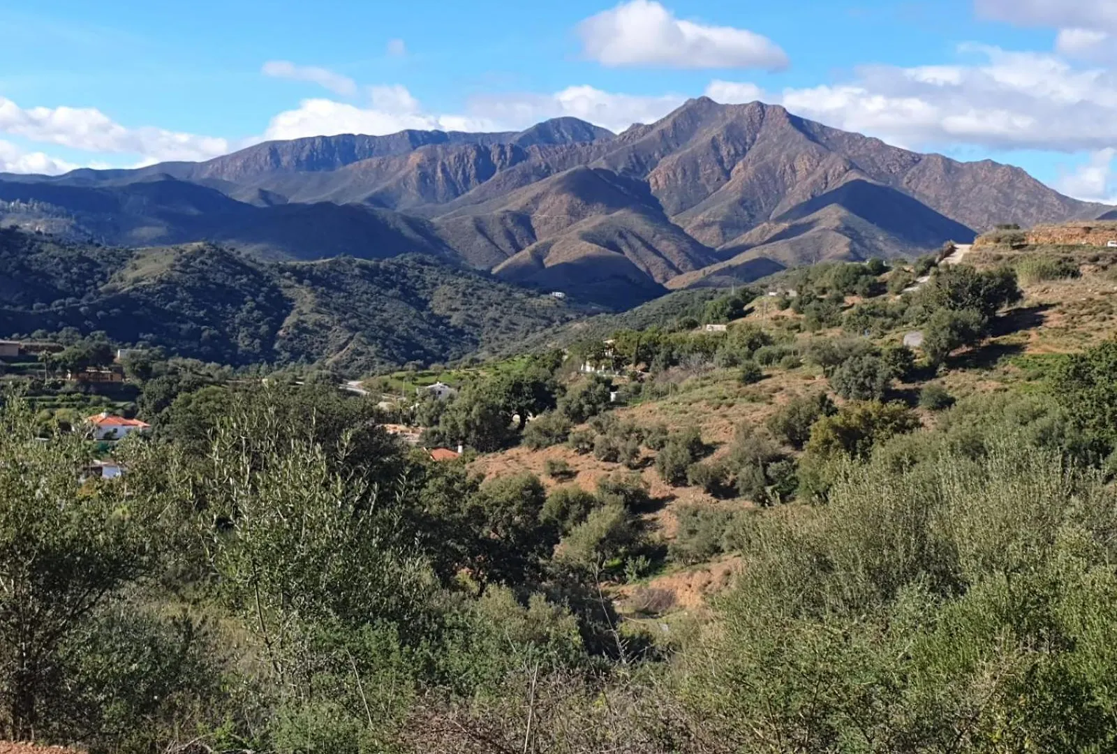Finca Cornelia マラガ